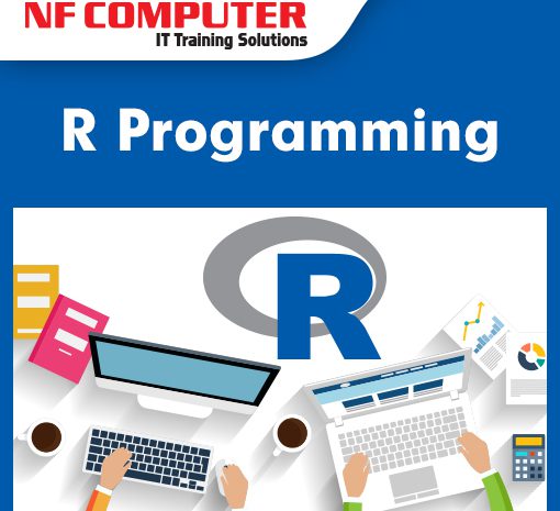  R Programming