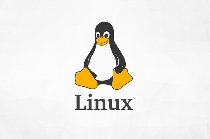 linux