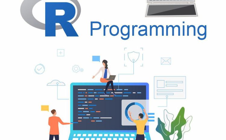  R Programming