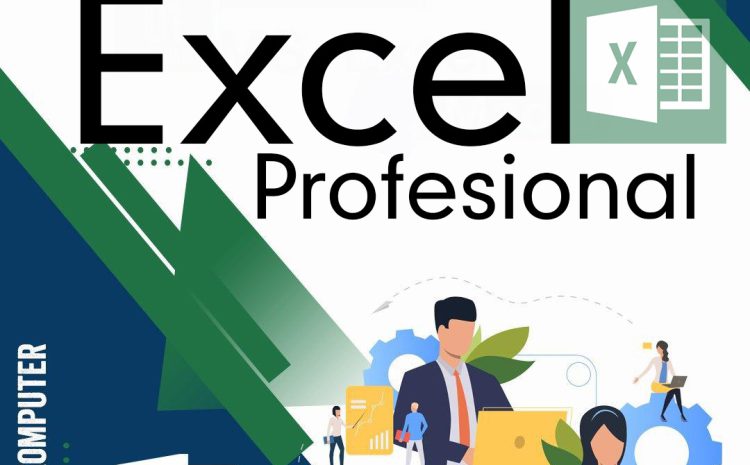  Microsoft Excel Profesional