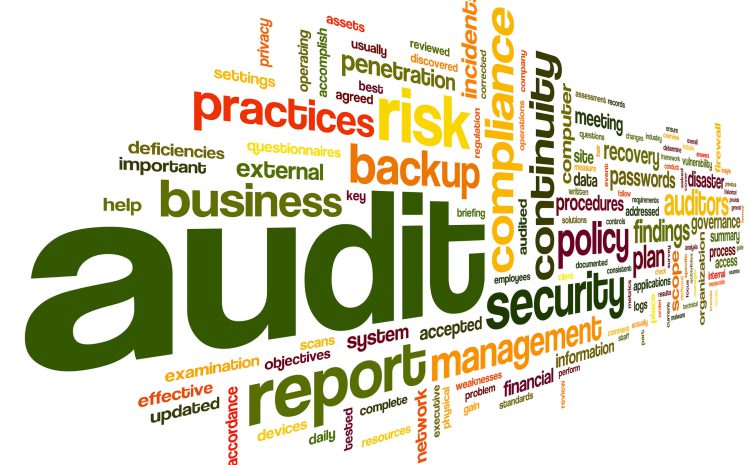  IT Audit Berbasis CobIT 5