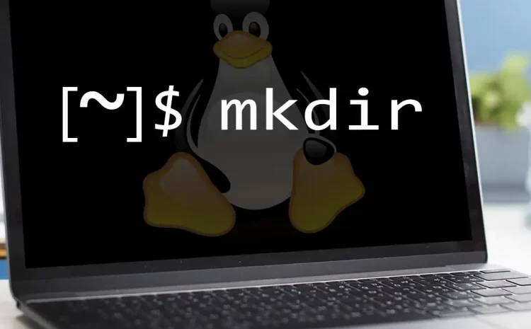  Perintah Dasar Linux yang Digunakan untuk Menghapus Direktori