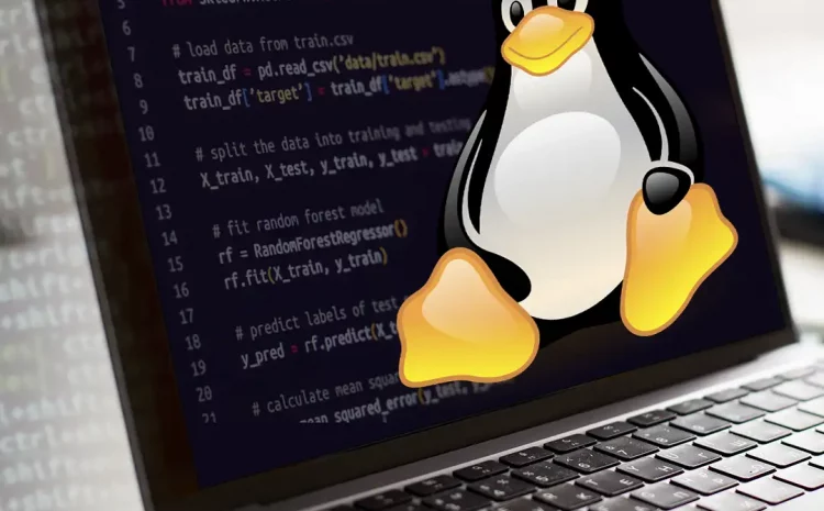  100 Perintah Dasar Linux dan Fungsinya